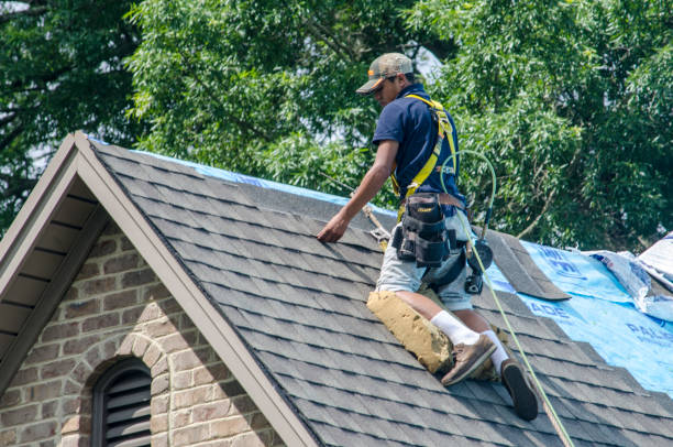 Best Emergency Roof Repair  in The Hills, NJ